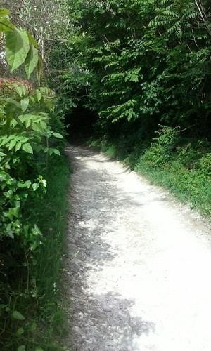 Highlight 2 along the Bikemap route "le discese + belle"