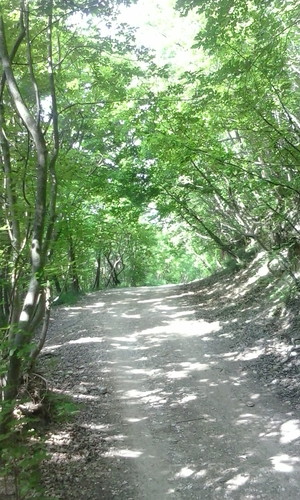Highlight 3 along the Bikemap route "le discese + belle"
