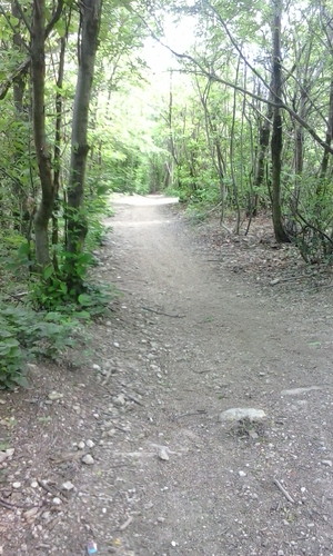 Highlight 4 along the Bikemap route "le discese + belle"