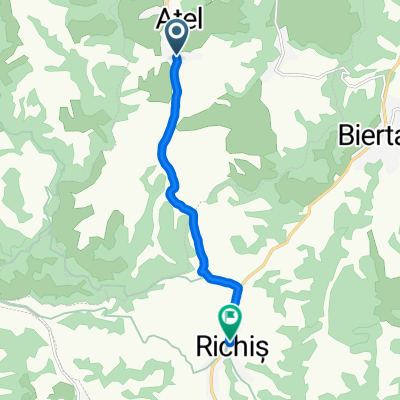 Atel - Richis