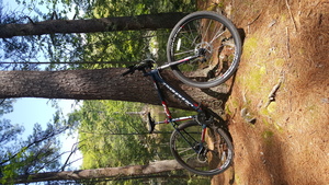 Highlight 1 along the Bikemap route "Healthy Heart Trail - Middleton Street"