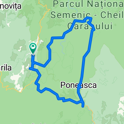 Anina_Poneasca_Jervani_Buhui_Anina var.2