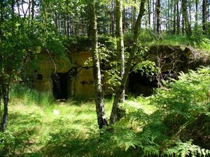 Atrakcja 5 na trasie Bikemap „Bunkry w lubuskim” Atrakcja 5 na trasie Bikemap „Bunkry w lubuskim”