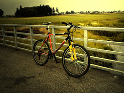 Hebe Bild 3 entlang der Bikemap-Route "Najczęściej Uczęszczana Trasa" hervor