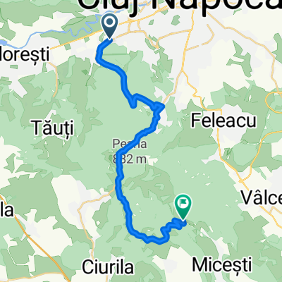 manastur- lac micesti