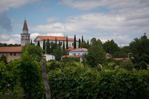 Hebe Bild 8 entlang der Bikemap-Route "Daljša krožna pot 30 km" hervor Hebe Bild 8 entlang der Bikemap-Route "Daljša krožna pot 30 km" hervor
