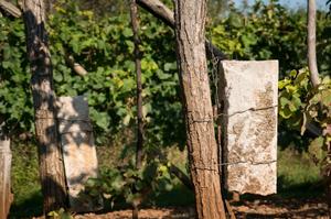 Hebe Bild 1 entlang der Bikemap-Route "Daljša krožna pot 30 km" hervor Hebe Bild 1 entlang der Bikemap-Route "Daljša krožna pot 30 km" hervor