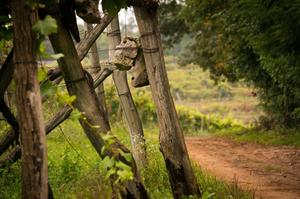 Hebe Bild 7 entlang der Bikemap-Route "Daljša krožna pot 30 km" hervor Hebe Bild 7 entlang der Bikemap-Route "Daljša krožna pot 30 km" hervor