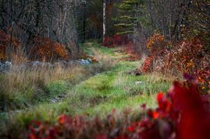 Hebe Bild 5 entlang der Bikemap-Route "Daljša krožna pot 30 km" hervor Hebe Bild 5 entlang der Bikemap-Route "Daljša krožna pot 30 km" hervor