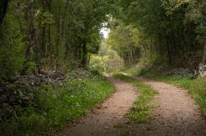 Hebe Bild 2 entlang der Bikemap-Route "Krajša krožna pot 20 km" hervor Hebe Bild 2 entlang der Bikemap-Route "Krajša krožna pot 20 km" hervor