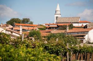 Hebe Bild 4 entlang der Bikemap-Route "Krajša krožna pot 20 km" hervor Hebe Bild 4 entlang der Bikemap-Route "Krajša krožna pot 20 km" hervor