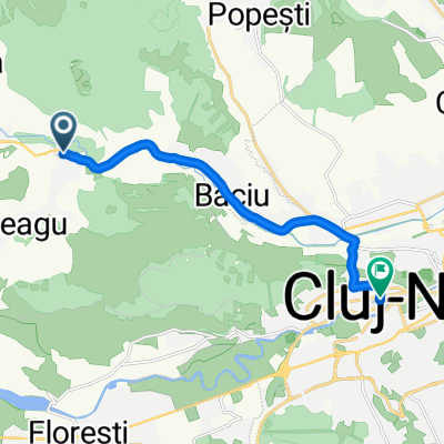 suceagu cluj