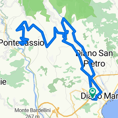 diana marina -pontedasio