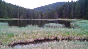 Hebe Bild 2 entlang der Bikemap-Route "Lacul Galbenu-Iezerul Latoriței" hervor