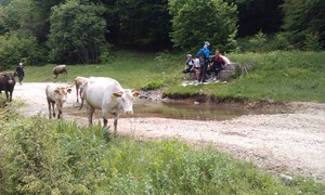 Hebe Bild 1 entlang der Bikemap-Route "Gostivar novoselo gostivar" hervor