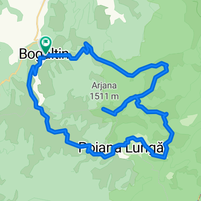 Arjana