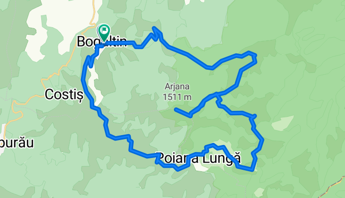 Arjana