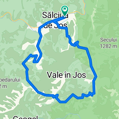 MTB Salciua-Bradesti-Ponor-Salciua 01May2015