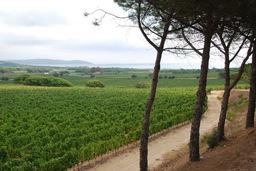 Point fort 19 sur l’itinéraire Bikemap « Genf -Grenoble - Sisteron - St.Tropez - St.Raphael »