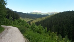 Atrakcja 10 na trasie Bikemap „Predeal-Brașov pe Valea Garciniului”