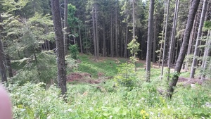 Atrakcja 13 na trasie Bikemap „Predeal-Brașov pe Valea Garciniului”