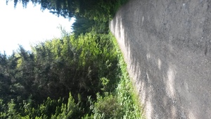 Atrakcja 16 na trasie Bikemap „Predeal-Brașov pe Valea Garciniului”