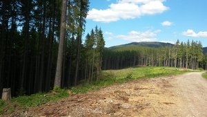 Atrakcja 12 na trasie Bikemap „Predeal-Brașov pe Valea Garciniului”