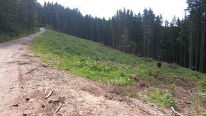 Atrakcja 11 na trasie Bikemap „Predeal-Brașov pe Valea Garciniului”