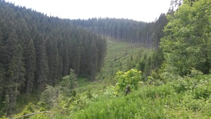 Atrakcja 9 na trasie Bikemap „Predeal-Brașov pe Valea Garciniului”