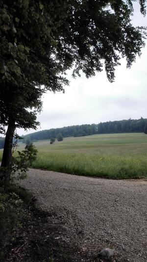 Destacado 1 en la ruta de Bikemap " - Siblingen"