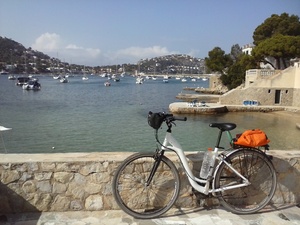 Highlight 5 along the Bikemap route "Mallorca: es Capdellà-Andratx-s'Arracó-Sant Elm-s'Arracó-Port d'Andratx-far de sa Mola-es Camp de Mar-Peguera-es Capdellà"