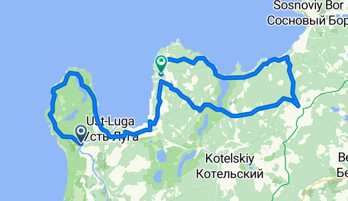 kurgalskiy dubki koporiye vistino