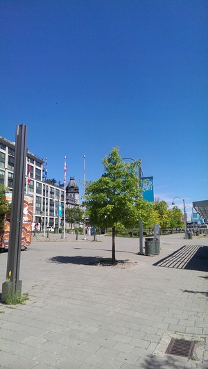 Highlight 1 along the Bikemap route "Montreal - Beaconsfield" Highlight 1 along the Bikemap route "Montreal - Beaconsfield"