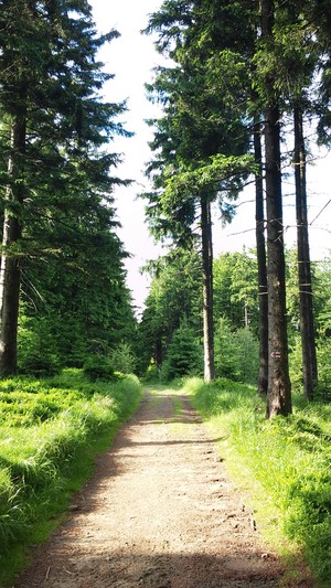 Highlight 14 along the Bikemap route "Chata Ostry - Ropice - Hot. Ondrasz"