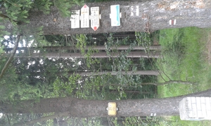 Highlight 1 along the Bikemap route "Recording from 17:33 25. Červen"
