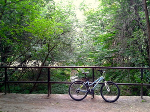 Highlight 24 along the Bikemap route "Дорога на работу - подарок Велороут -1"