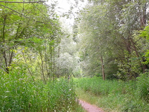 Highlight 15 along the Bikemap route "Дорога на работу - подарок Велороут -1"
