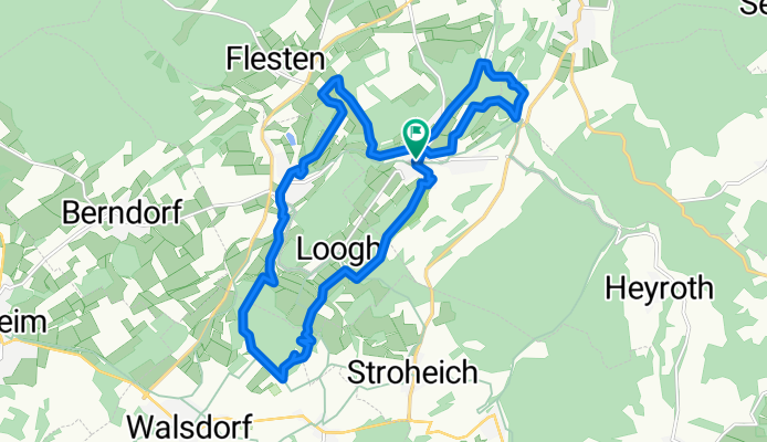 Orchideenwanderung bei Niederehe
