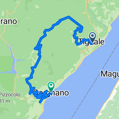 Projekt