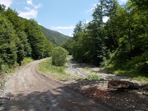 Hebe Bild 2 entlang der Bikemap-Route "Azuga - Prislop - Secaria - Comarnic" hervor Hebe Bild 2 entlang der Bikemap-Route "Azuga - Prislop - Secaria - Comarnic" hervor