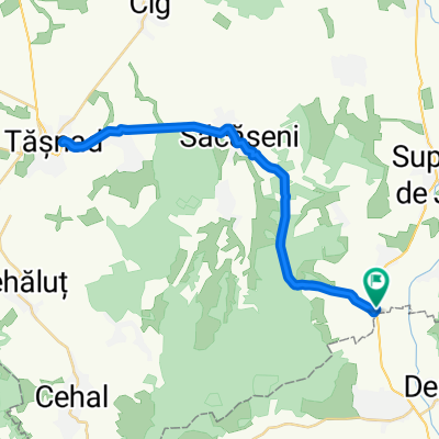 Supur - Tășnad și retur. 