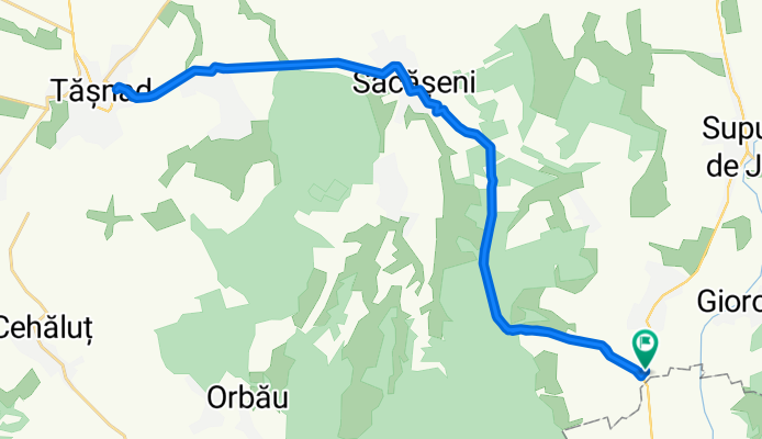 Supur - Tășnad și retur. 
