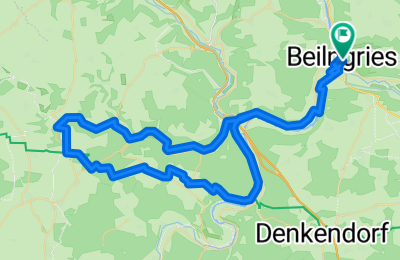 Route in der Bikemap App öffnen