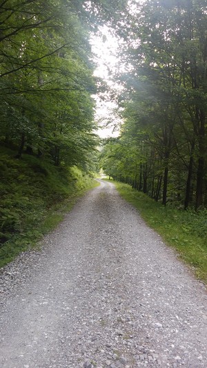Highlight 8 along the Bikemap route "Chata Ostry z Kosarzysk"