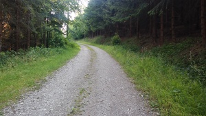 Highlight 3 along the Bikemap route "Chata Ostry z Kosarzysk"