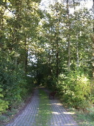 Hebe Bild 8 entlang der Bikemap-Route "Herbsttour entlang Streuobstwiesen" hervor