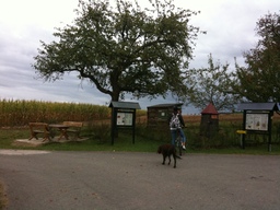 Hebe Bild 5 entlang der Bikemap-Route "Herbsttour entlang Streuobstwiesen" hervor