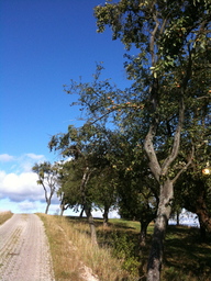 Hebe Bild 13 entlang der Bikemap-Route "Herbsttour entlang Streuobstwiesen" hervor