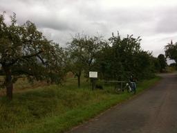 Hebe Bild 1 entlang der Bikemap-Route "Herbsttour entlang Streuobstwiesen" hervor