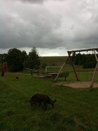 Hebe Bild 6 entlang der Bikemap-Route "Herbsttour entlang Streuobstwiesen" hervor